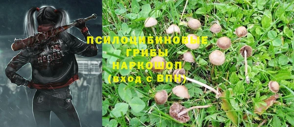 марки lsd Новозыбков