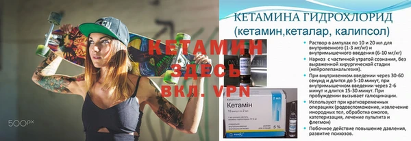 ECSTASY Новодвинск