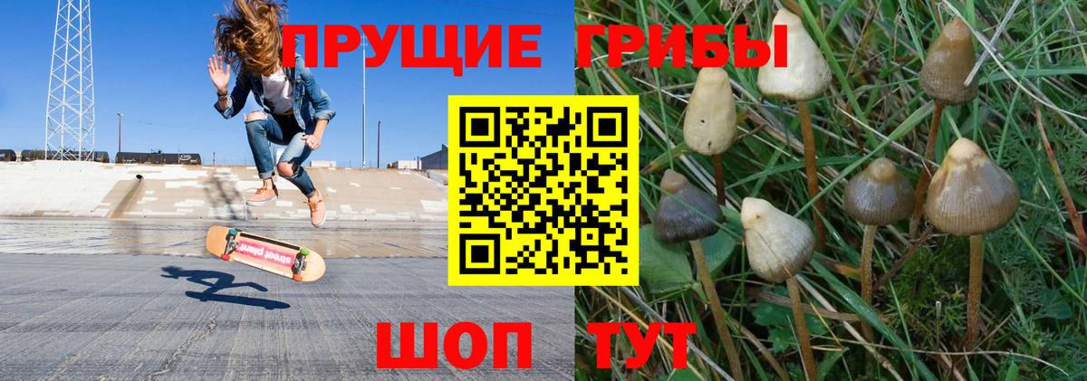 Псилоцибиновые грибы Psilocybine cubensis  Вход с VPN  Лянтор 